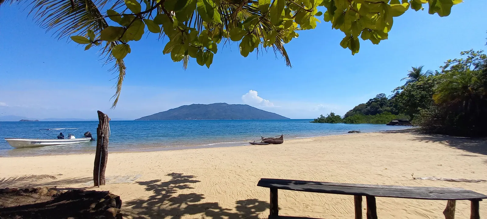 Lokobe National Park – Primeval Forest, Lemurs, and Pirogue Ride on Nosy Be