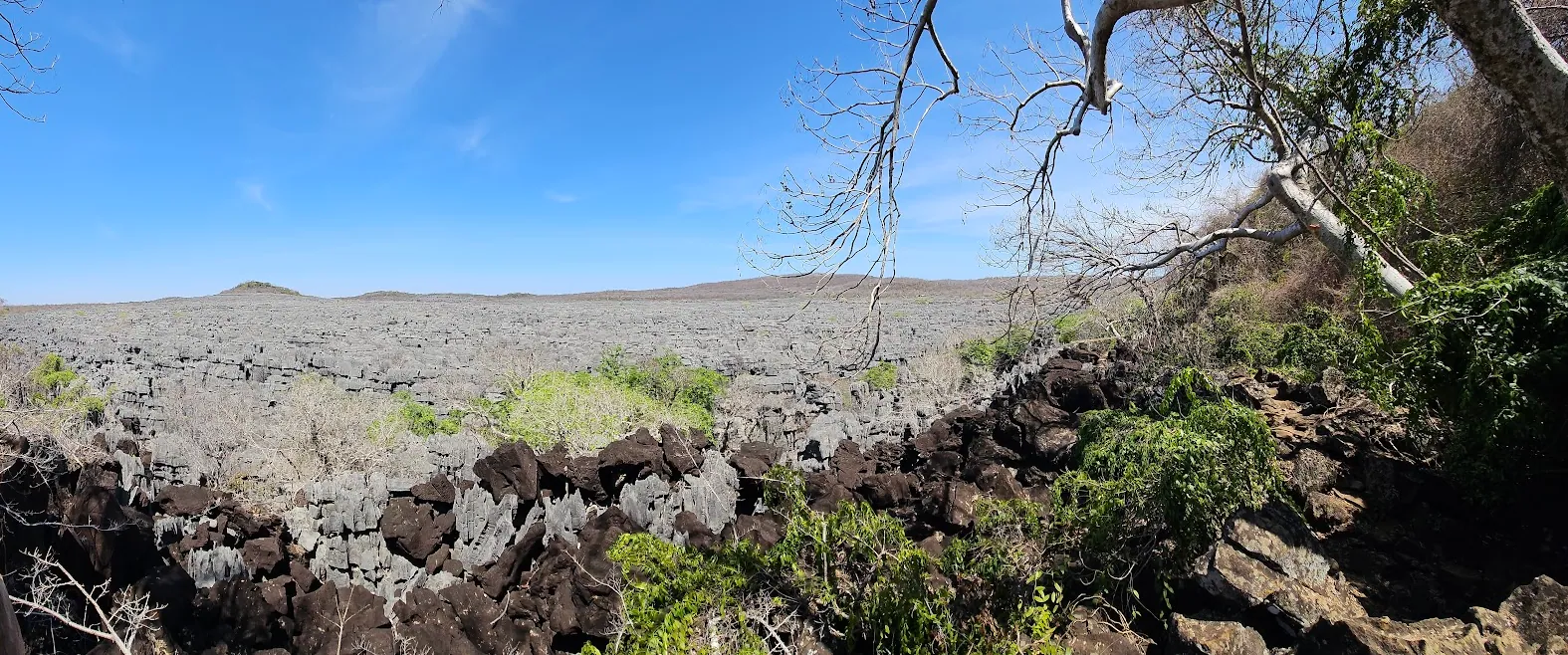 Tsingy d'Ankarana – Limestone Forests, Caves, and Lemurs in Northern Madagascar