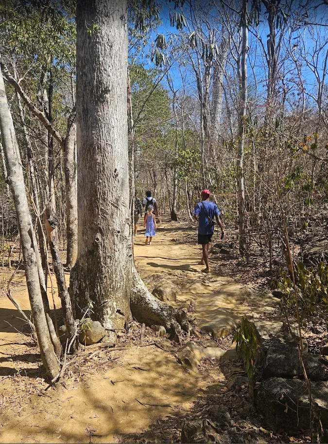 Tsingy d'Ankarana – Limestone Forests, Caves, and Lemurs in Northern Madagascar